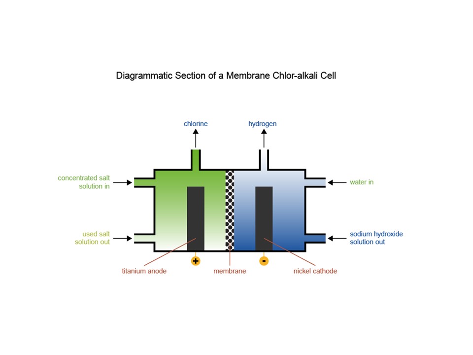 Image shows a diagrammatic Section of a Membrane Chlor-alkali Cell