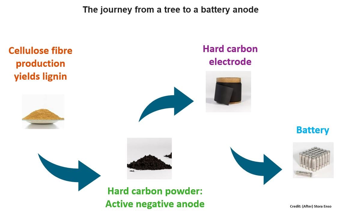 Image shows a schematic diagram of the process to turn a tree into a battery and includes pictures of lignin, hard carbon powder, an electrode material and finished product batteries Credit Stora Enso