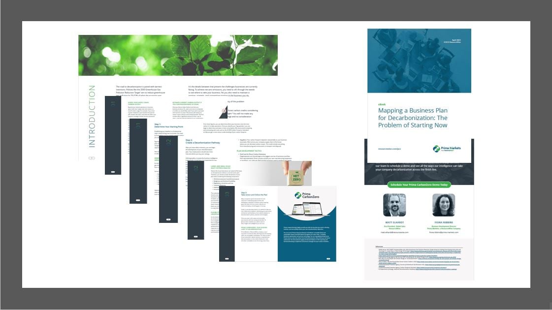 A montage of the pages of a free-to-download eBook offering guidance on establishing sustainability goals. 