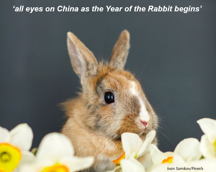 A light brown and white rabbit surrounded by flowers signifies calmness in the zodiac for the new Chinese year.