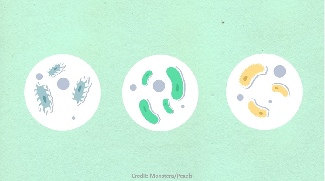 Sustainability goals boosted by more biosurfactant innovation & output